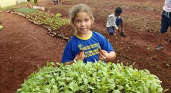 Guardas Mirins cultivam hortas comunitárias